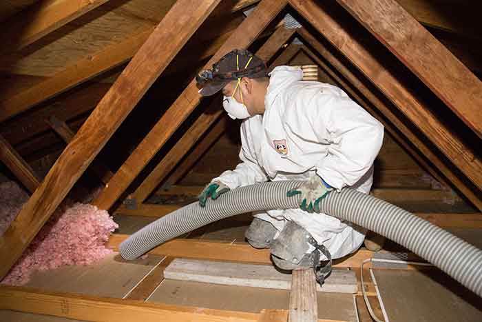 Attic Insulation Removal Ottawa