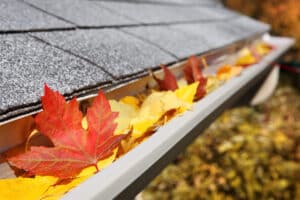 Gutter Cleaning Ottawa