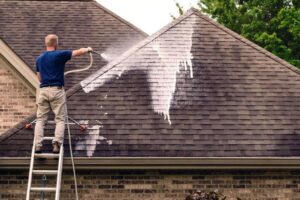 Roof Cleaning Ottawa